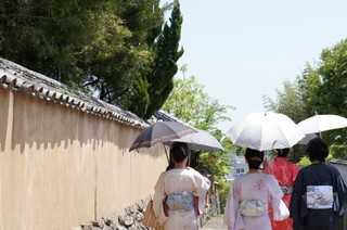DSC02200-540x358.jpg